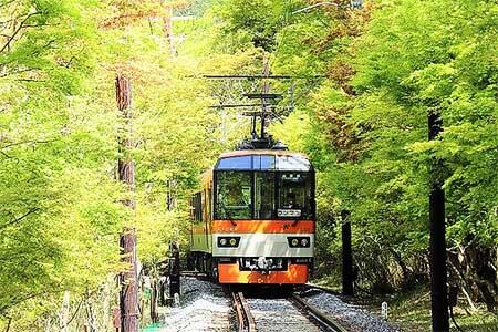 叡電「青もみじ新緑の徐行運転」実施