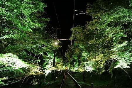 叡電，「新緑のライトアップ特別列車」の参加者募集