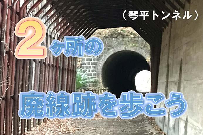 わたらせ渓谷鐵道「2ケ所の廃線跡を歩こう」参加者募集