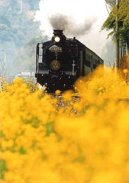 唐木 徹 写真展「追憶 SL人吉」開催