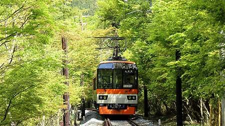 叡電「青もみじ新緑の徐行運転」実施