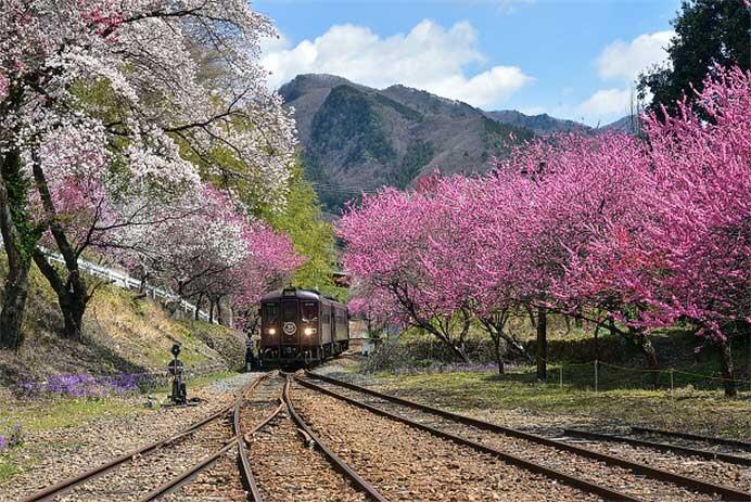 「第31回鉄研三田会写真展」開催
