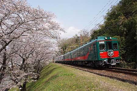 桜並木を走行する「こうや花鉄道 天空」
