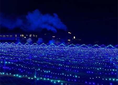 倉ケ崎SL花畑イルミネーション