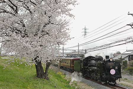 秩父鉄道で“SLさくら号”運転