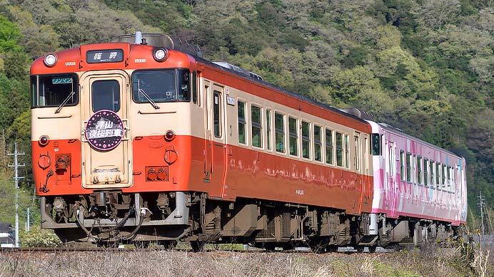 “SAKU 美 SAKU 楽 夜桜号”が運転される