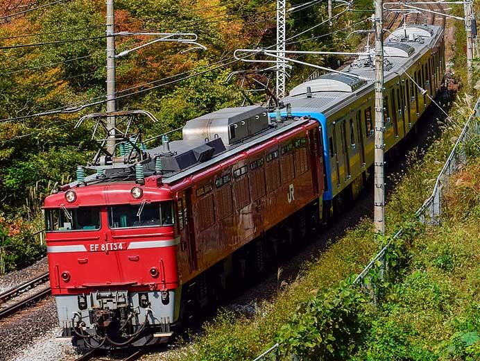 EF81 134がE131系1000番代T3編成の配給輸送をけん引