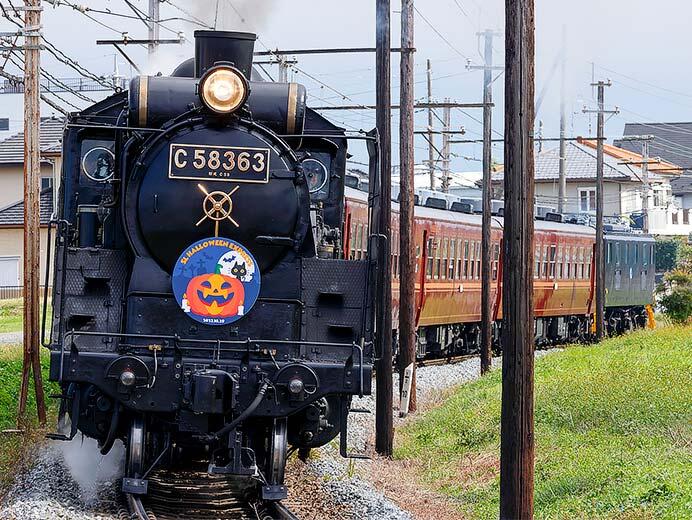 秩父鉄道で「SLハロウィンエクスプレス」運転