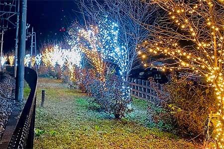 東武，「SL大樹」のイルミネーション特別運転を2023年も実施