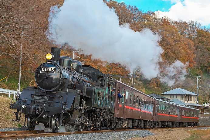 C12 66に形式入りナンバープレート