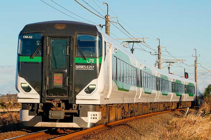 臨時特急“開運成田山初詣武蔵野号”運転