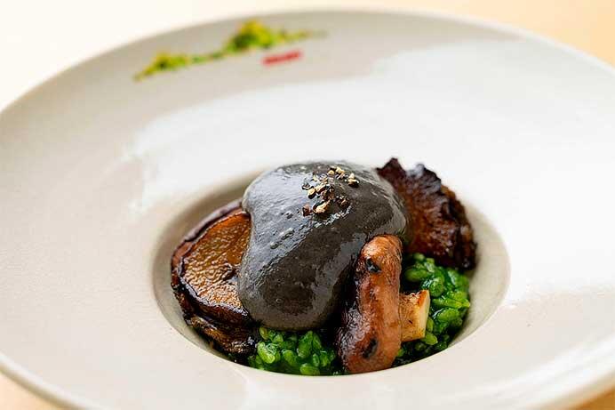 平成筑豊鉄道「ことこと列車」，2024年4月から9月までの予約受付を開始