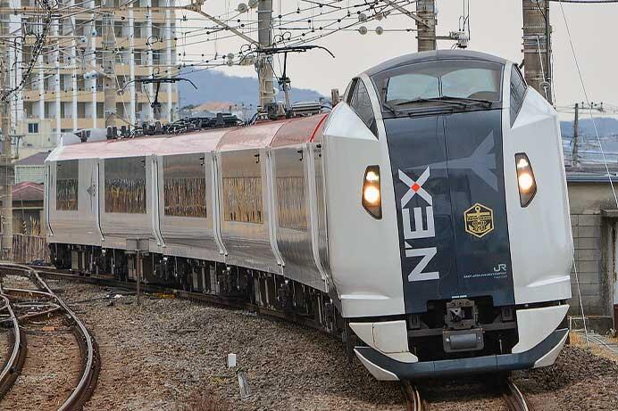 「マリンエクスプレス踊り子」仕様のE259系による団臨運転