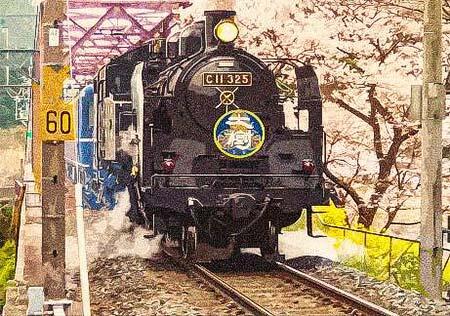 記念乗車証デザイン（SL）