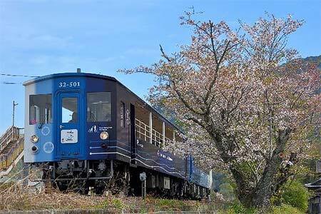 JR四国「藍よしのがわトロッコ」