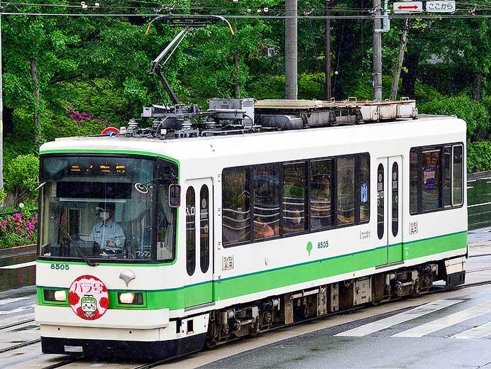 都電荒川線で「都電バラ号」運転
