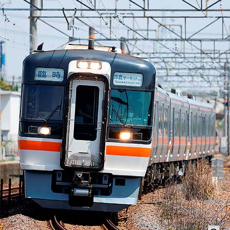 美濃太田区所属キハ75形が6両編成で運転される