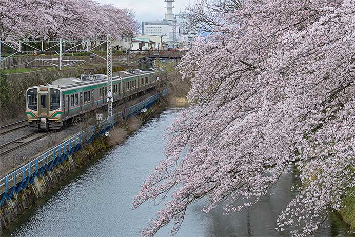 奥羽本線山形&mdash;北山形間で桜開花にあわせた減速運転