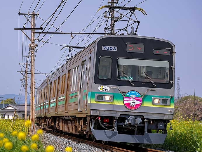 秩父鉄道7800系に「芝桜」のヘッドマーク