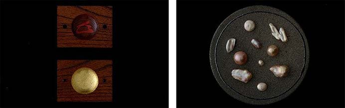 JR西日本「TWILIGHT EXPRESS 瑞風」，2026年春から琵琶湖を巡る新しいコースを設定へ