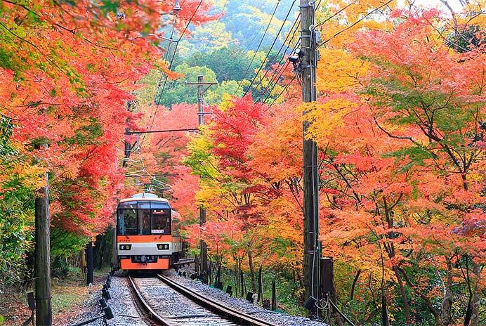 叡山電鉄，11月7日から12月12日にかけて「秋ダイヤ」を実施