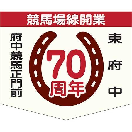 記念ヘッドマーク