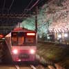 新京成電鉄，線路脇の桜並木をライトアップ