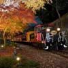 2017年10月14日〜12月10日嵯峨野観光鉄道で紅葉ライトアップと臨時列車の運転
