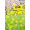 2017年11月11日〜19日写真展「鉄道でめぐる四季」開催