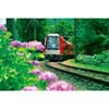 6月16日〜7月4日箱根登山鉄道で“夜のあじさい号”を運転