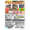 12月9日 「復活！土讃線秘境トロッコ号でゆく キクハ、おうちに帰るの巻ツアー」参加者募集