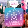 2月3日〜3月31日 秩父鉄道，ちちてつInstagramキャンペーン「＃平成最後のSLパレオエクスプレス」実施