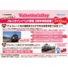 2月10日 伊豆箱根鉄道で「いずっぱこバレンタイン企画」実施