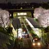 3月16日〜4月14日 相鉄，弥生台駅の桜をライトアップ