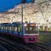 3月26日〜4月1日 新京成電鉄，線路脇の桜並木をライトアップ