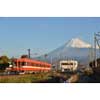  岳南電車，「岳鉄富士山の日キャンペーン」を実施