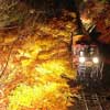 10月15日〜12月29日 嵯峨野観光鉄道で紅葉ライトアップと臨時列車を運転