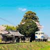 6月15日・16日 「キハから景色をひとりじめ！助手席添乗in北条鉄道」の参加者募集