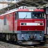 「THE ROYAL EXPRESS」が北海道へ