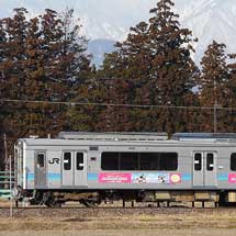 長野色の115系とE127系に車体広告