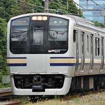 「ひまわり号」，E217系で運転