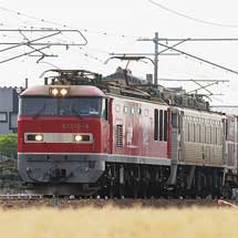 EF81 304が無動力回送される