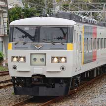 185系OM編成が“踊り子”運用に