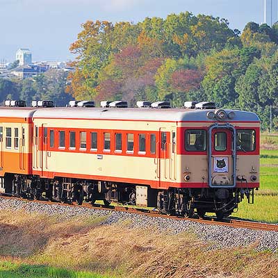 激レア！】ひたちなか海浜鉄道 旧車両運賃箱