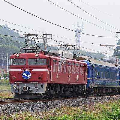 EF81形北斗星電気機関車 JR EF81形電気機関車(北斗星色) ｜製品情報｜製品検索｜鉄道模型