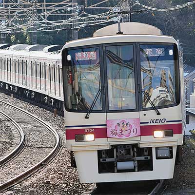 sq180206_8000_3550.jpg