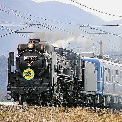 D51 200が“SL北びわこ号”をけん引｜鉄道ニュース｜2019年3月12日