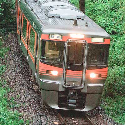中央本線で313系8000番台による団臨運転｜鉄道ニュース｜2019年7月1日