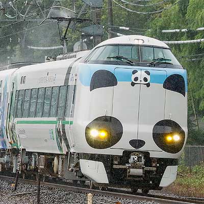 287系HC604編成が「パンダくろしお『サステナブルSmileトレイン