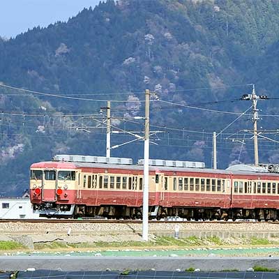 413系/683系 683系4000番台「サンダーバード」リニューアル車が入線です
